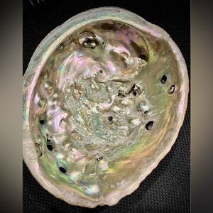 Abalone mother of pearl shell 7x9 - beautiful shine and luster